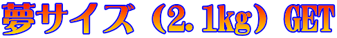 ���T�C�Y�i2.1kg�jGET 