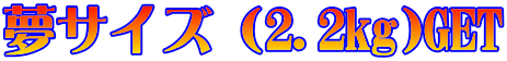 ���T�C�Y�i2.2kg)GET
