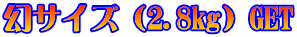 ���T�C�Y�i2.8kg�jGET